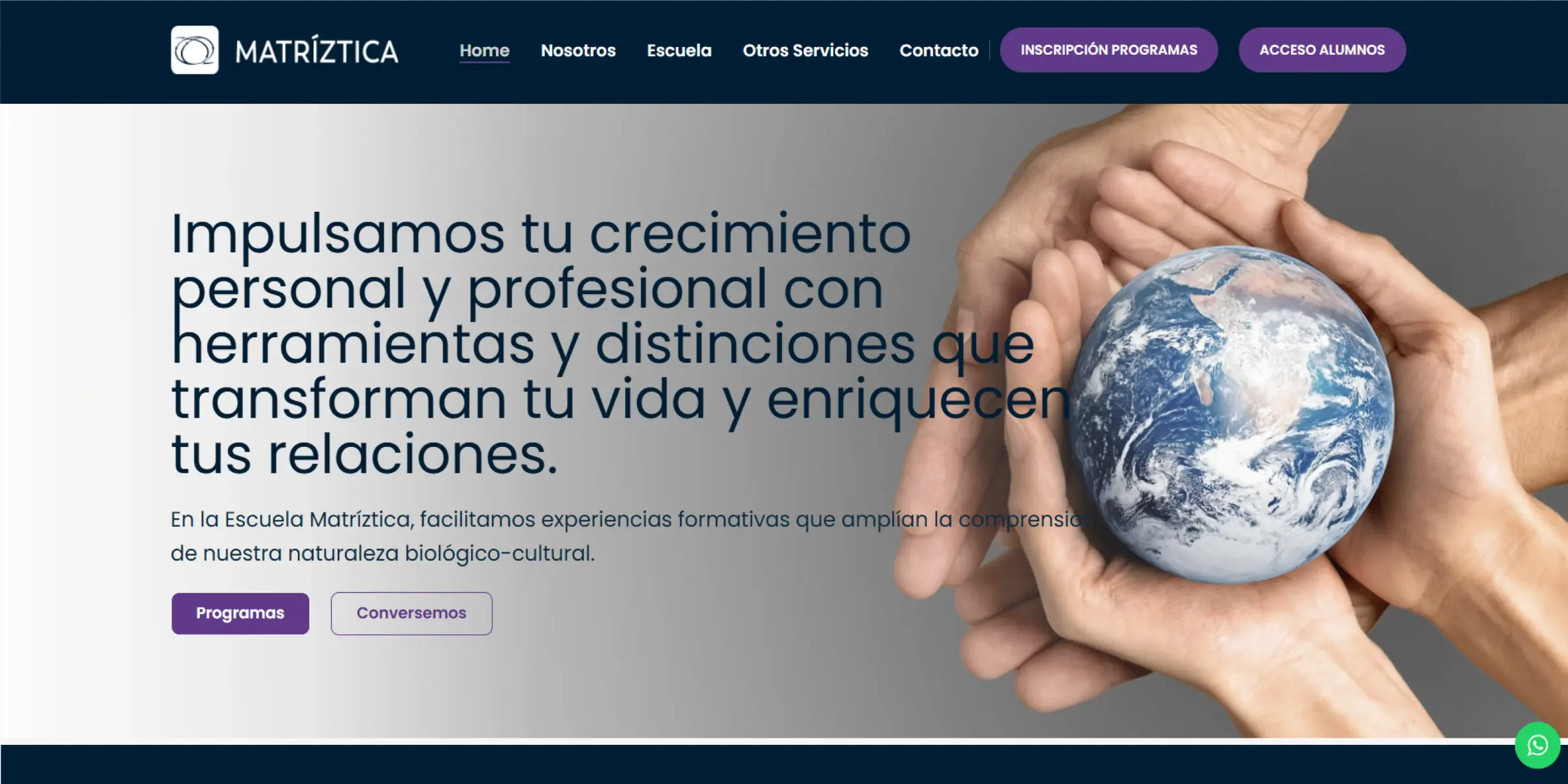 Diseño y programación página web Matríztica