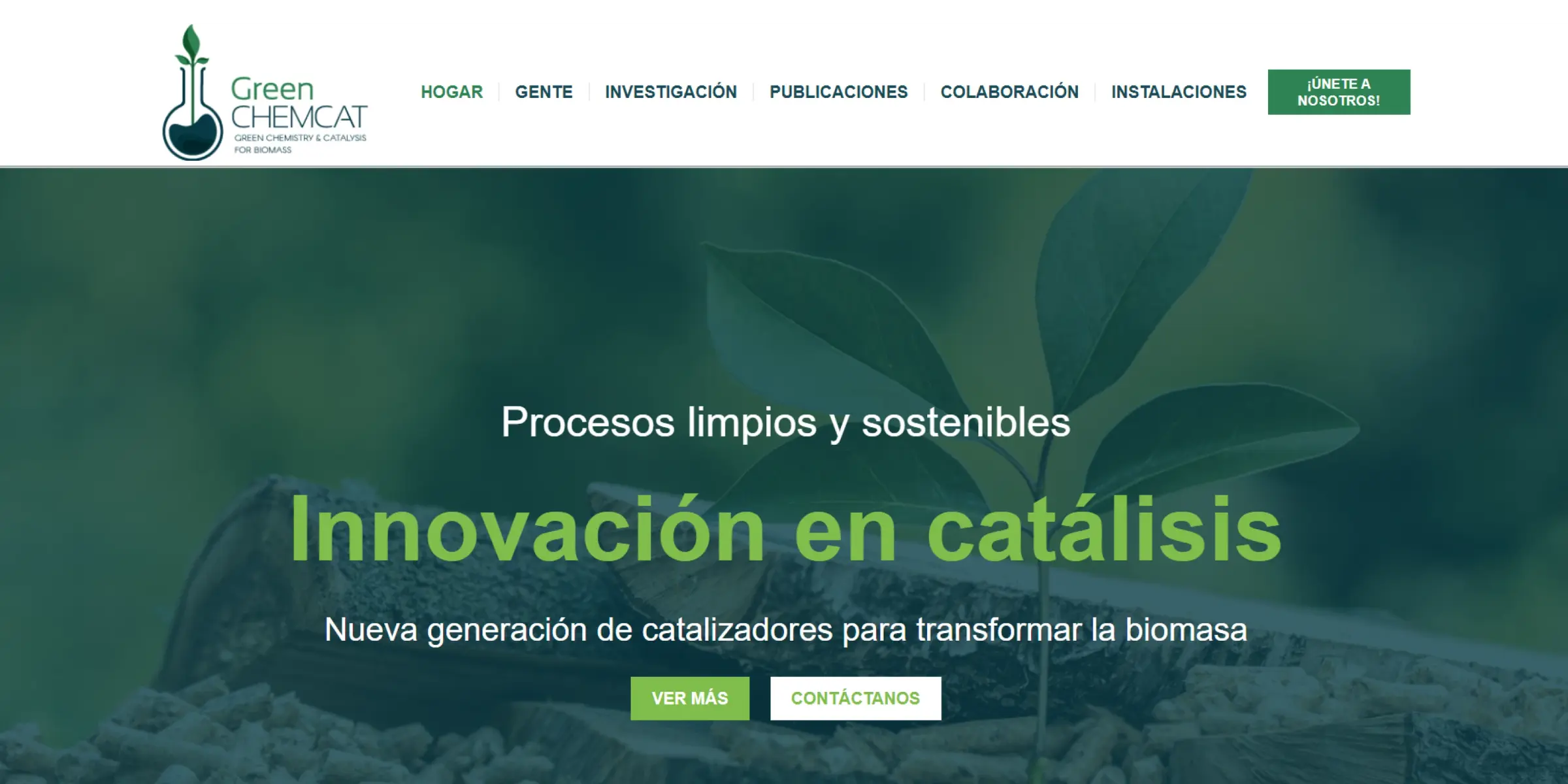 Diseño y programación página web GreenChemCat